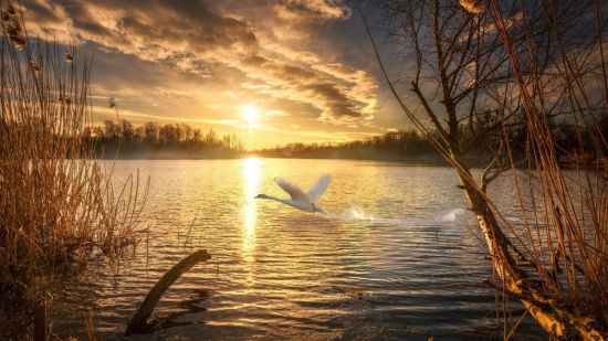 Солнце в озере (68 фото)