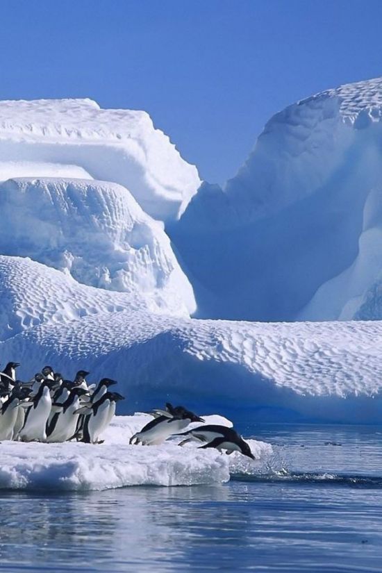 Антарктида пейзаж (57 фото)