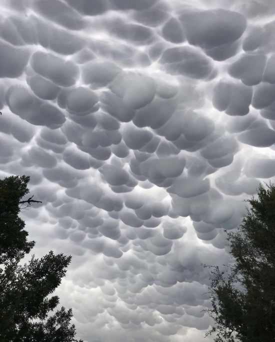 Ячеистые облака (71 фото)