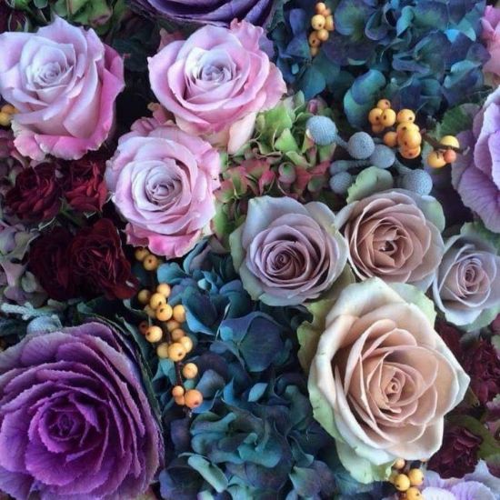Красивые фиолетовые цветы (52 фото)