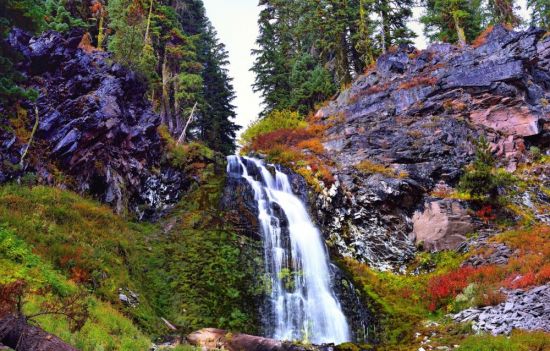 Горный водопад в лесу (44 фото)