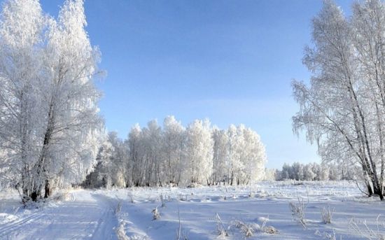 Зимний февральский пейзаж (49 фото)