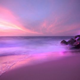 Фиолетовый пейзаж (56 фото)