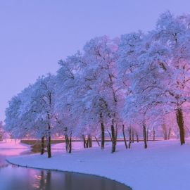 Красивые пейзажи зимы (51 фото)