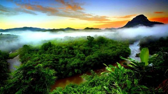 Пейзажи тропического леса (45 фото)
