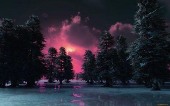 Зимний пейзаж ночью (53 фото)
