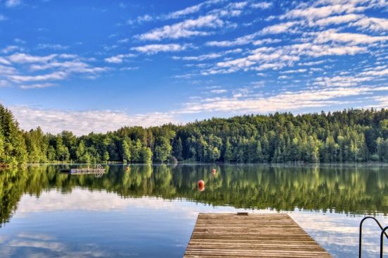 Лесное озеро алексеевка (47 фото)