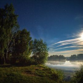 Летняя ночь в лесу (56 фото)