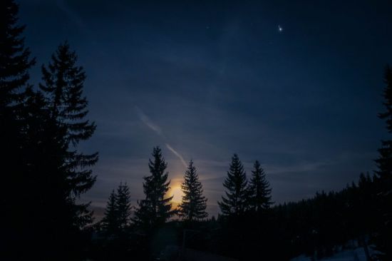 Лес тайга ночь (45 фото)
