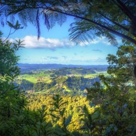 Тропические леса с высоты (37 фото)