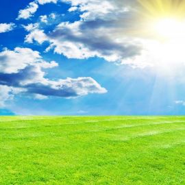 Синее небо зеленая трава (42 фото)