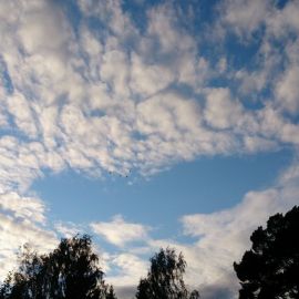 Перисто дождевые облака (49 фото)