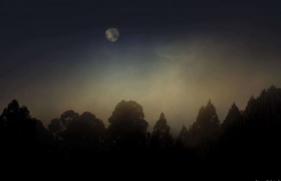 Ночное туманное небо (43 фото)