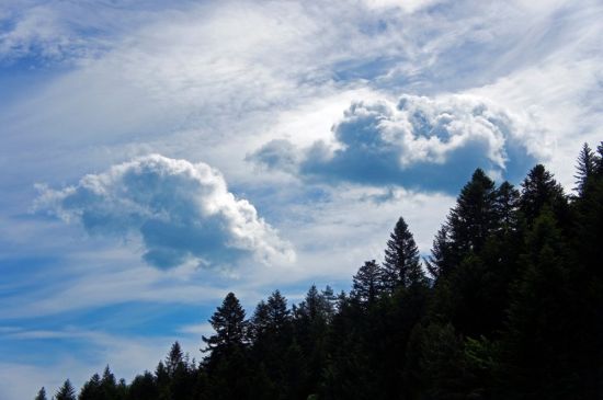 Облака над лесом (48 фото)