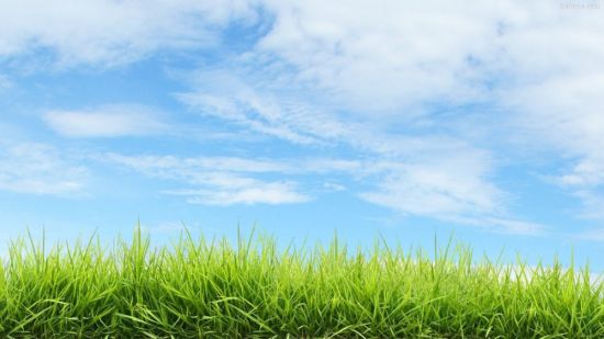 Голубое небо зеленая трава (54 фото)