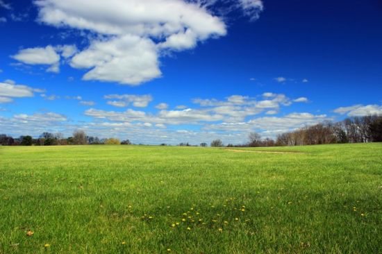 Пейзаж трава и небо (51 фото)
