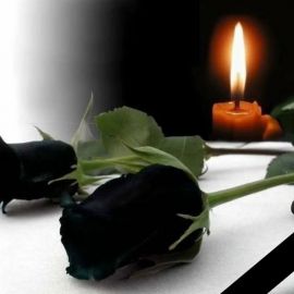 Черный тюльпан цветок (51 фото)