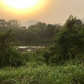 Камерун природа (49 фото)