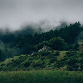 Туманная долина (45 фото)