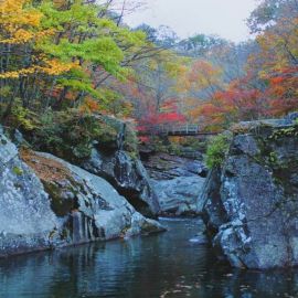Чирисан гора корея (41 фото)