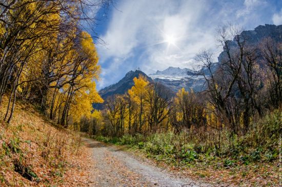 Золотая осень в горах (53 фото)