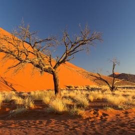 Африка ливийская пустыня (67 фото)