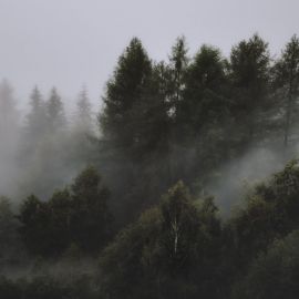 Балабановский туман (55 фото)