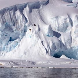 Антарктида ледяной материк (51 фото)