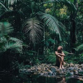 Сквозь джунгли (47 фото)