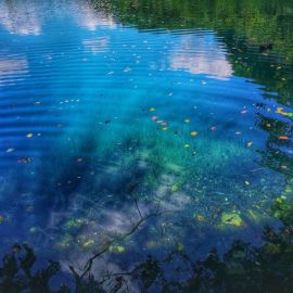 Голубое озеро боровичи (58 фото)