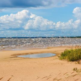 Чудское озеро эстония (49 фото)