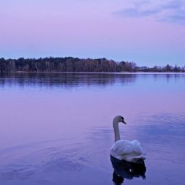 Дербышки озеро (44 фото)