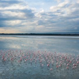 Соленое озеро чаны (53 фото)
