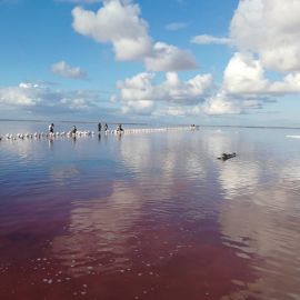 Соленое озеро павлодар (45 фото)