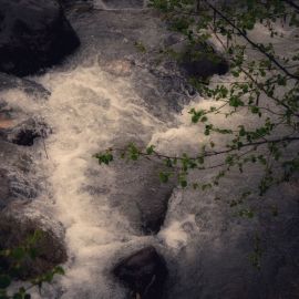 Река геналдон (49 фото)