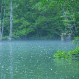 Ливень на озере (43 фото)