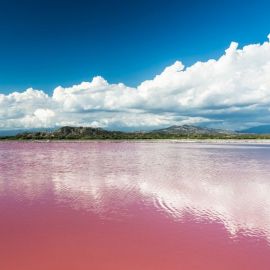 Соленое розовое озеро в калмыкии (53 фото)