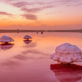 Херсон розовое озеро (52 фото)