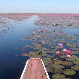 Розовое озеро масазыр (55 фото)