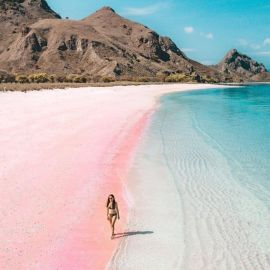 Комодо розовый пляж (46 фото)
