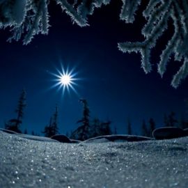 Луна лес снег (68 фото)