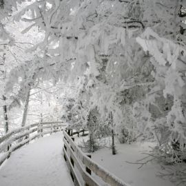 Твердый снег (48 фото)