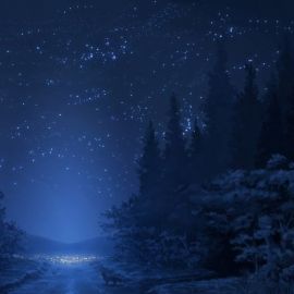 Лес снег ночь (47 фото)