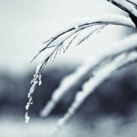 Зимний ледяной дождь (38 фото)