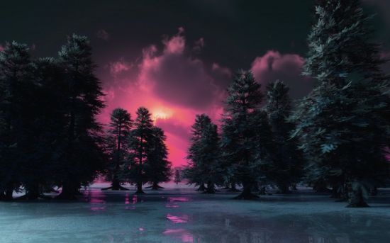 Фиолетовый лес зима (48 фото)
