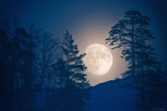Луна над зимним лесом (53 фото)