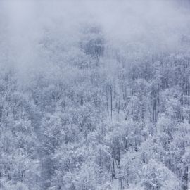Сильная метель снежная буря (47 фото)