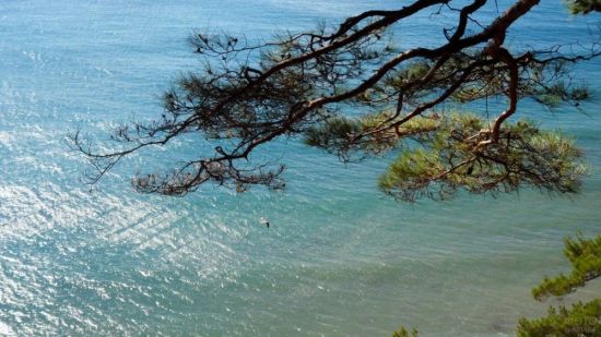 Дикий пляж голубая бездна геленджик (34 фото)