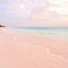 Розовый пляж бали (40 фото)