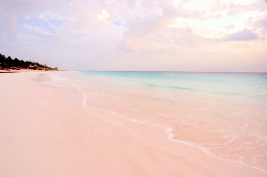 Розовый пляж бали (40 фото)